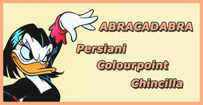banner_abracadabra