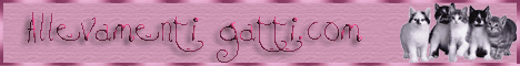 banner_allevamenti_gatti