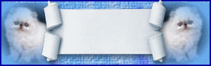 banner_apep
