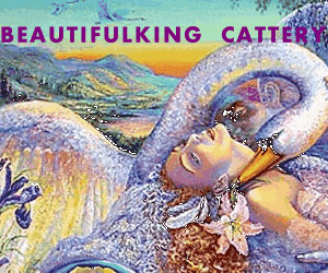 banner_beautifulking
