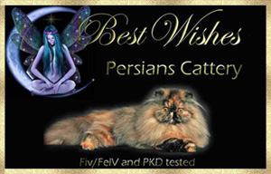 banner_bestwishes