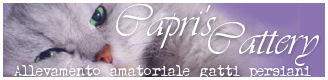 banner capriscattery
