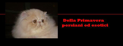 banner_dellaprimavera