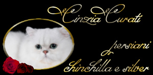 banner Delle Nevi Argentate