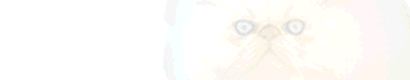banner dulcamara