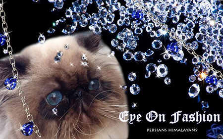 banner eyeonfashion