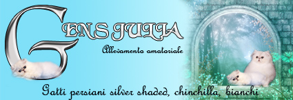 banner_gensjulia