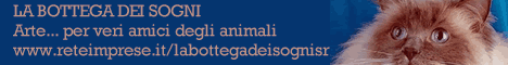 banner_labottegadeisogni