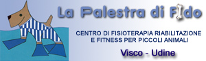 banner_lapalestradifido