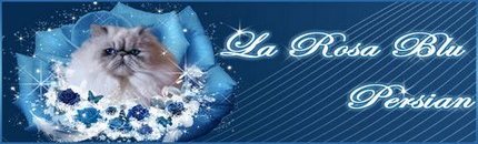 banner_larosablu