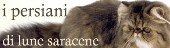 banner_lunesaracene