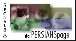 banner_persians_page