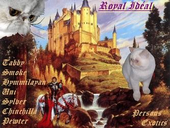 banner_royalideal