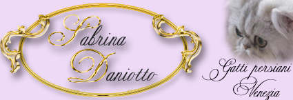 banner sabrinadaniotto