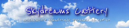 banner skydream