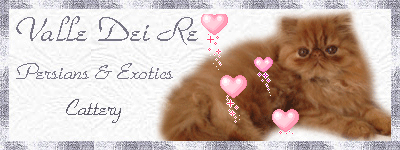 banner_valledeire