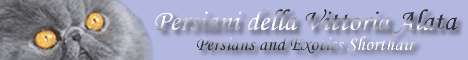 banner_vittoria_alata