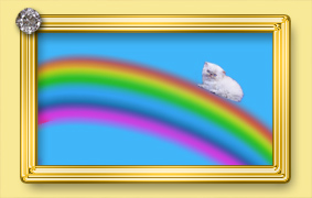 arcobaleno