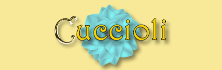 cuccioli